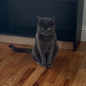 Meet your Posher, Peter